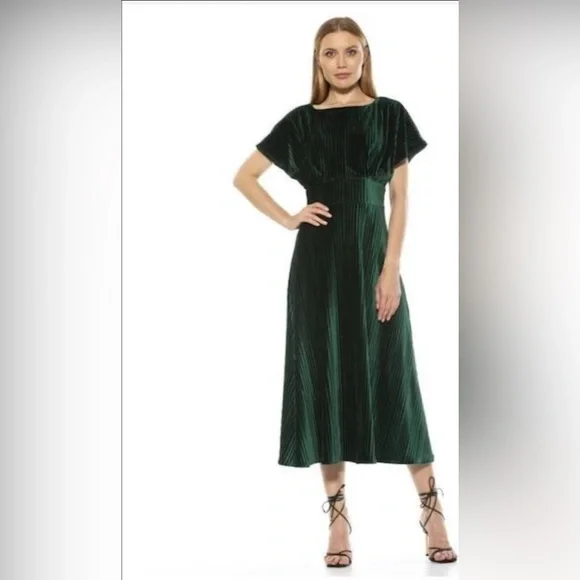 Alexia Admor Women's Pleated Velvet Midi Dress, XS Alexia Admor Women's Pleated Velvet Midi Dress, XS